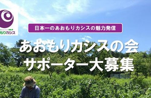 名称未設定 1