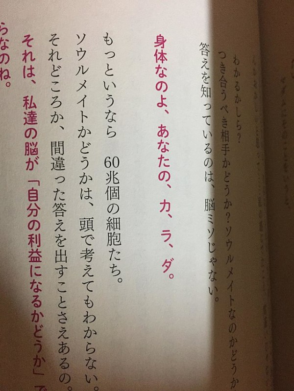 ブルゾンちえみのネタ元が見つかるｗｗ 予想以上にまんまｗｗｗｗｗｗｗ はちま起稿