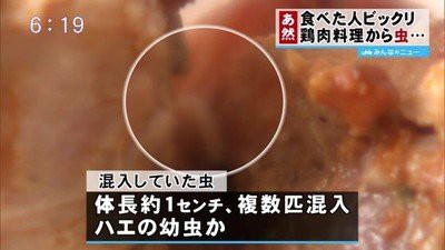 出店で買った鶏肉料理にハエの幼虫が混入 複数の虫が蠢いているのが見つかる ﾟdﾟ はちま起稿