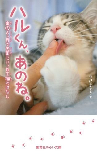 盗作 トレース ネタパクで大炎上した猫漫画家 活動自粛から復帰するもパクリ元へ謝罪していないことが判明 さらに自粛中に本を作っていたこともわかり再炎上 はちま起稿