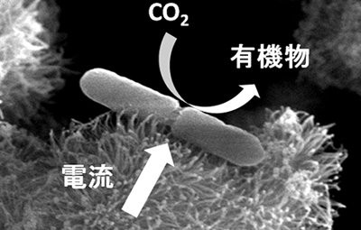 名称未設定 1