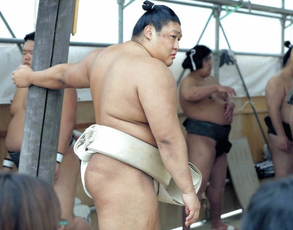 引用画像