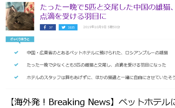 一晩で5匹とドッキング」お盛んすぎるネコちゃんがヤバイことに 