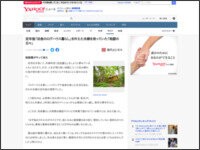 t984ew489t98a