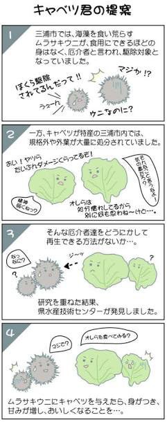 衝撃 キャベツをめぐるウニ達の壮絶な闘いが話題に ウニってキャベツ食べるんだ はちま起稿