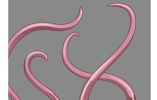 Tcg 触手スリーブ が神すぎると話題にｗｗｗｗｗｗ はちま起稿