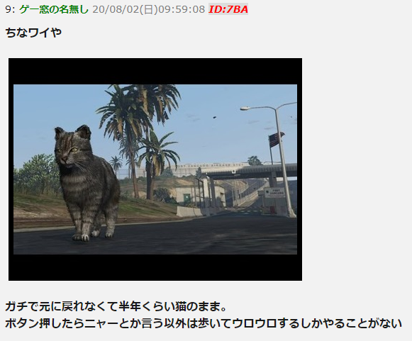 Gtaオンライン でチーターによって猫に変えられてしまったプレイヤーがかわいそうすぎると話題にｗｗｗｗ はちま起稿