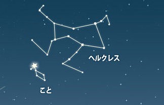 名称未設定 1