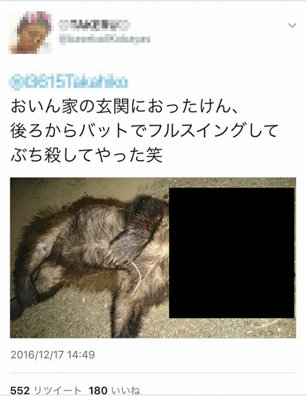 炎上 バットでぶち殺してやった笑 男子高校生 アナグマの死骸画像をツイッターに投稿 批判殺到 はちま起稿