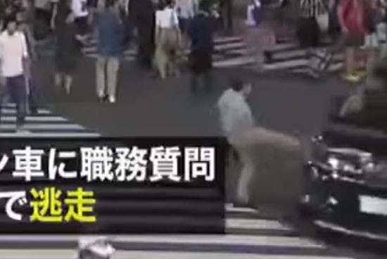名称未設定 2.jpg