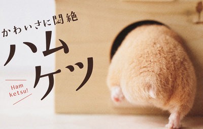 名称未設定 1