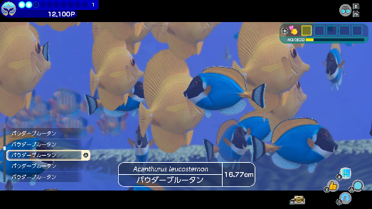 2024-02-21_23h20_41
