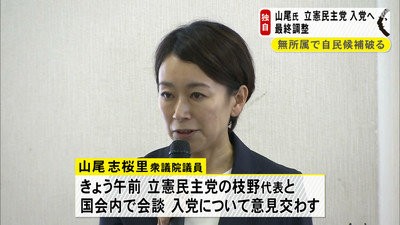 引用画像