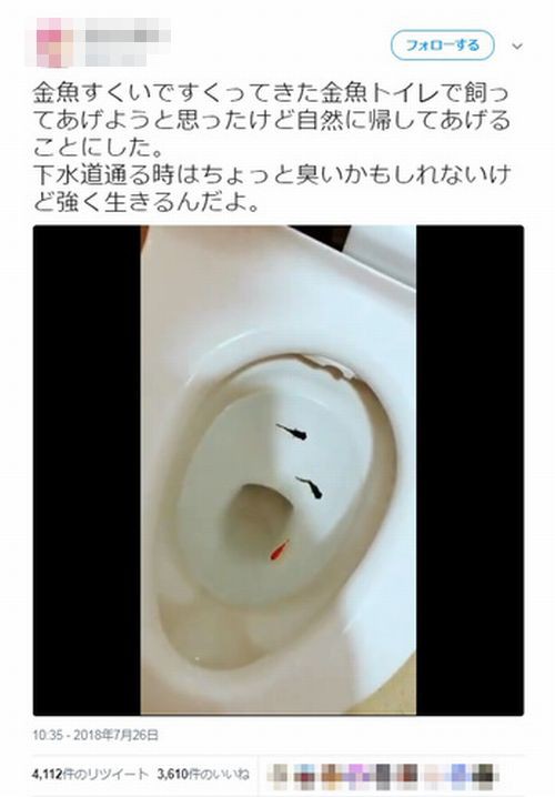 金魚をトイレに流して炎上した女性 の末路が悲惨な事に 職場にネット民から大量のクレームが殺到し はちま起稿