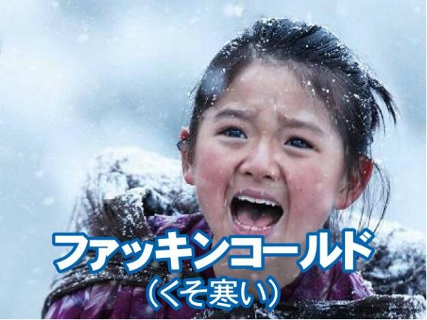 画像 大阪市民へのインタビュー 大雪ヤバイ 北海道の人の気持ちわかる この顔絶対にわかってないｗｗｗｗｗｗｗ はちま起稿