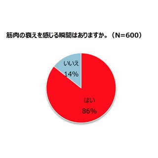 引用画像
