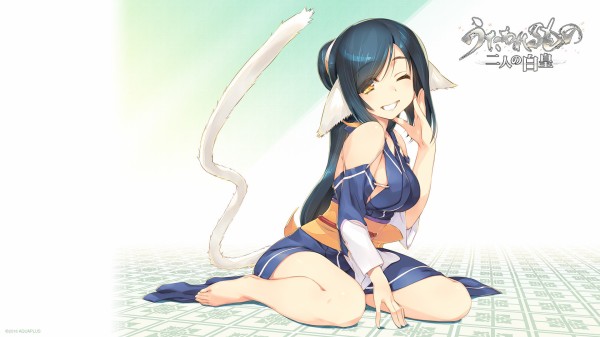 引用画像