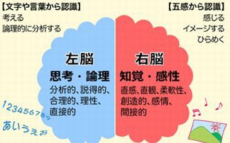 衝撃の事実 科学者の研究で 右脳派 左脳派なんて存在しない 事が判明 はちま起稿