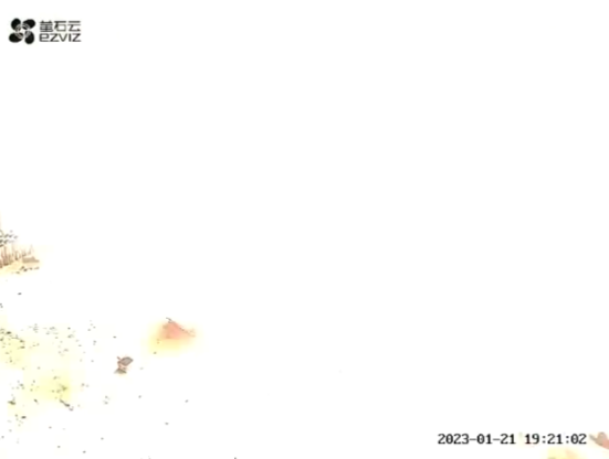 2023-01-30_08h28_37
