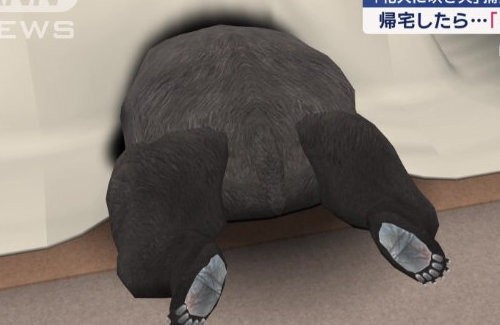 04