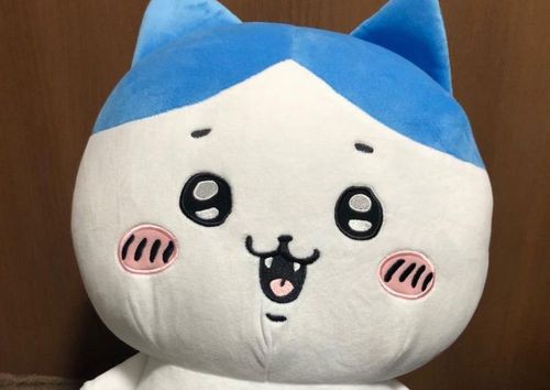hgytiuyiy