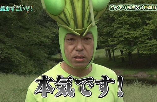 4t98wa84t89wa