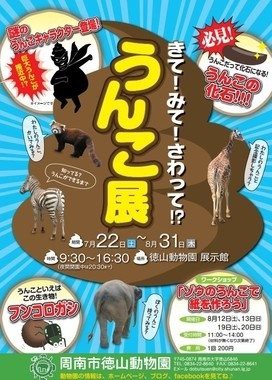引用画像