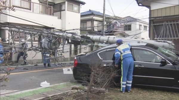 引用画像