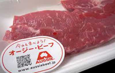 悲報 オージービーフに発がん性 成長促進ホルモン剤まみれの牛肉 はちま起稿