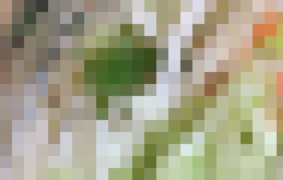 今度はコンビニのサラダにバッタ混入か 以前からツイッターで虫の混入報告が出ていた模様 はちま起稿