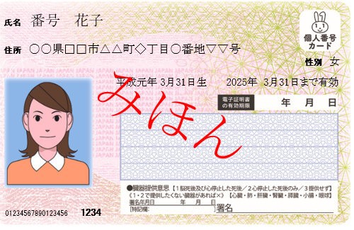 06