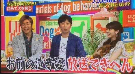 Nonstyle井上さんが企画で犬と共同生活 犬を今後も飼うか選択を迫られた時の泣きながらの回答が超イケメン はちま起稿