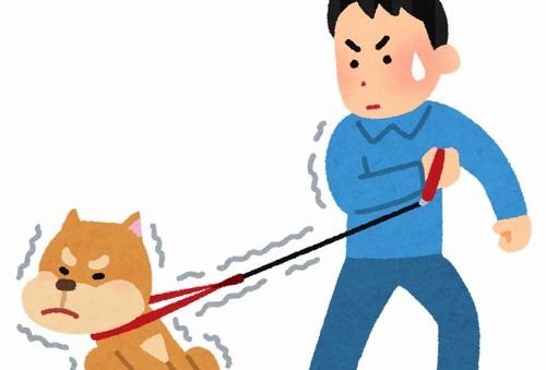 マジ注意 スーパー等お店の前に飼い犬を繋ぐのだけは絶対やめるべき 幼児が善意で 売買目的で される リスクいっぱい はちま起稿 マジ注意 スーパー等お店の前に飼い犬を繋ぐのだけは絶対やめるべき 幼児が善意で 売買目的で される リスクいっぱい はちま起稿