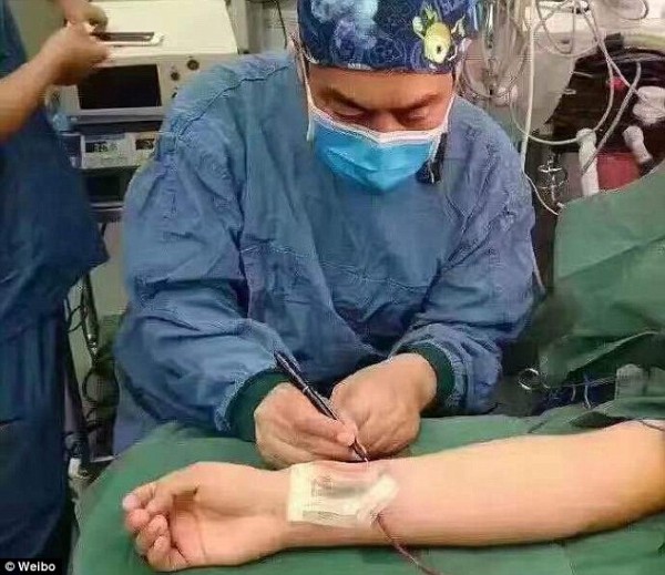 引用画像