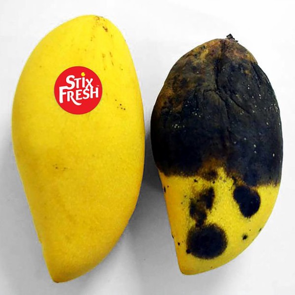 stixfresh