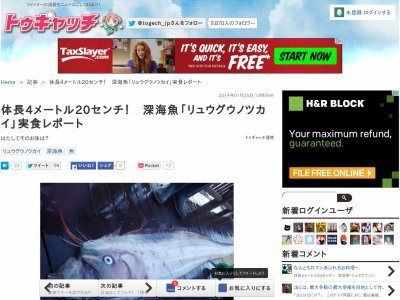 実録 深海魚 リュウグウノツカイ を食べてみたったｗｗｗ はちま起稿