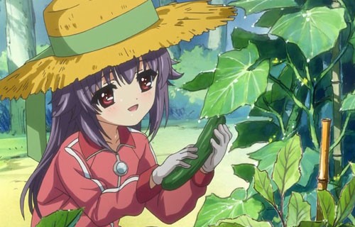 06