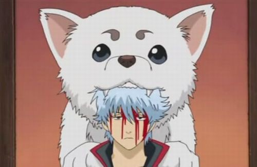 snapo-00