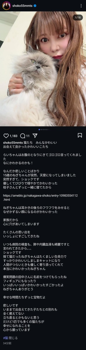 iRQJ8wP