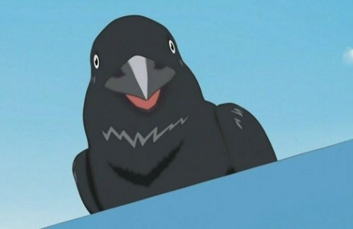 マジかよ カラス語を習得したツイッター民が実際にカラスとコンタクトしてみた結果ｗｗｗｗｗｗｗｗｗ はちま起稿