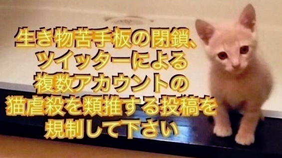 3ed6f8ce532b2403d1241f8fd6016e39