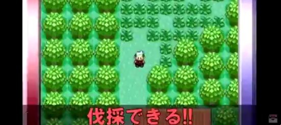 ポケモンの いあいぎり にフィールドの木を切る以外に使い道があったって知ってる 23年間知らなかった はちま起稿