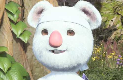 06