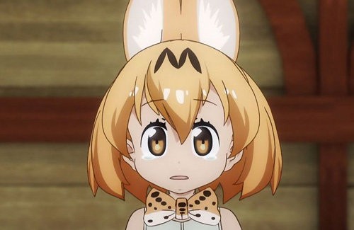 引用画像