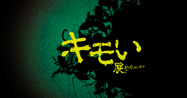 引用画像