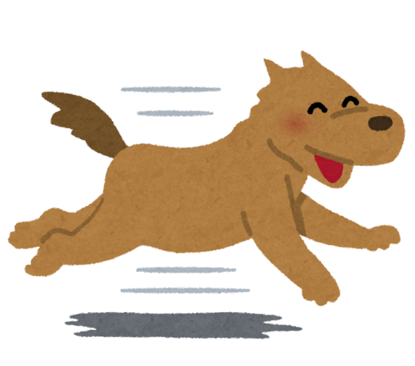 run_dog_smile