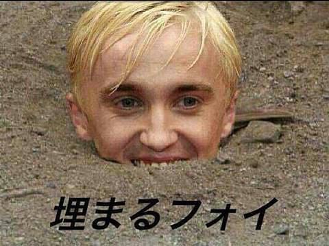 23788513
