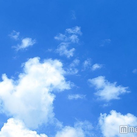 引用画像