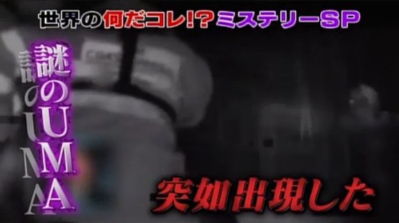 オカルト好き必見 世界の何だコレ ミステリーsp 第二弾放送 無料で腹筋を鍛えるのに最適だぞｗｗｗ はちま起稿