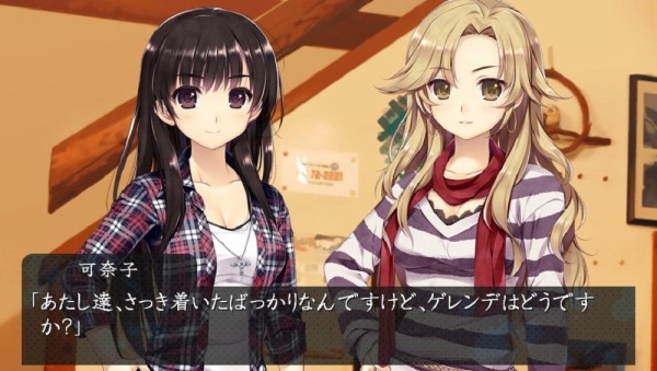引用画像